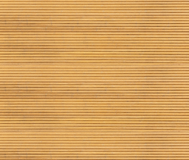 Caramel MW301