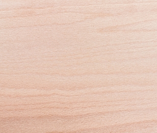 Hard Maple